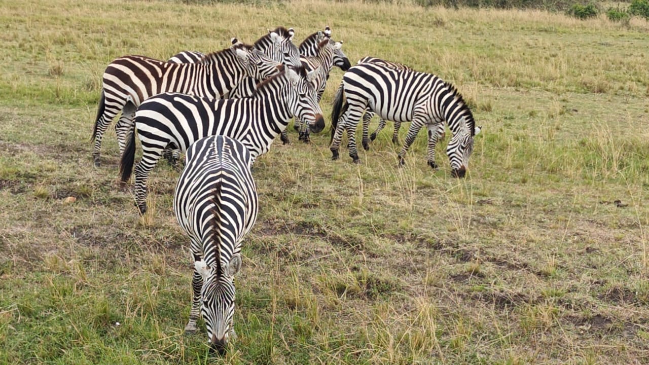 Hwange National Park