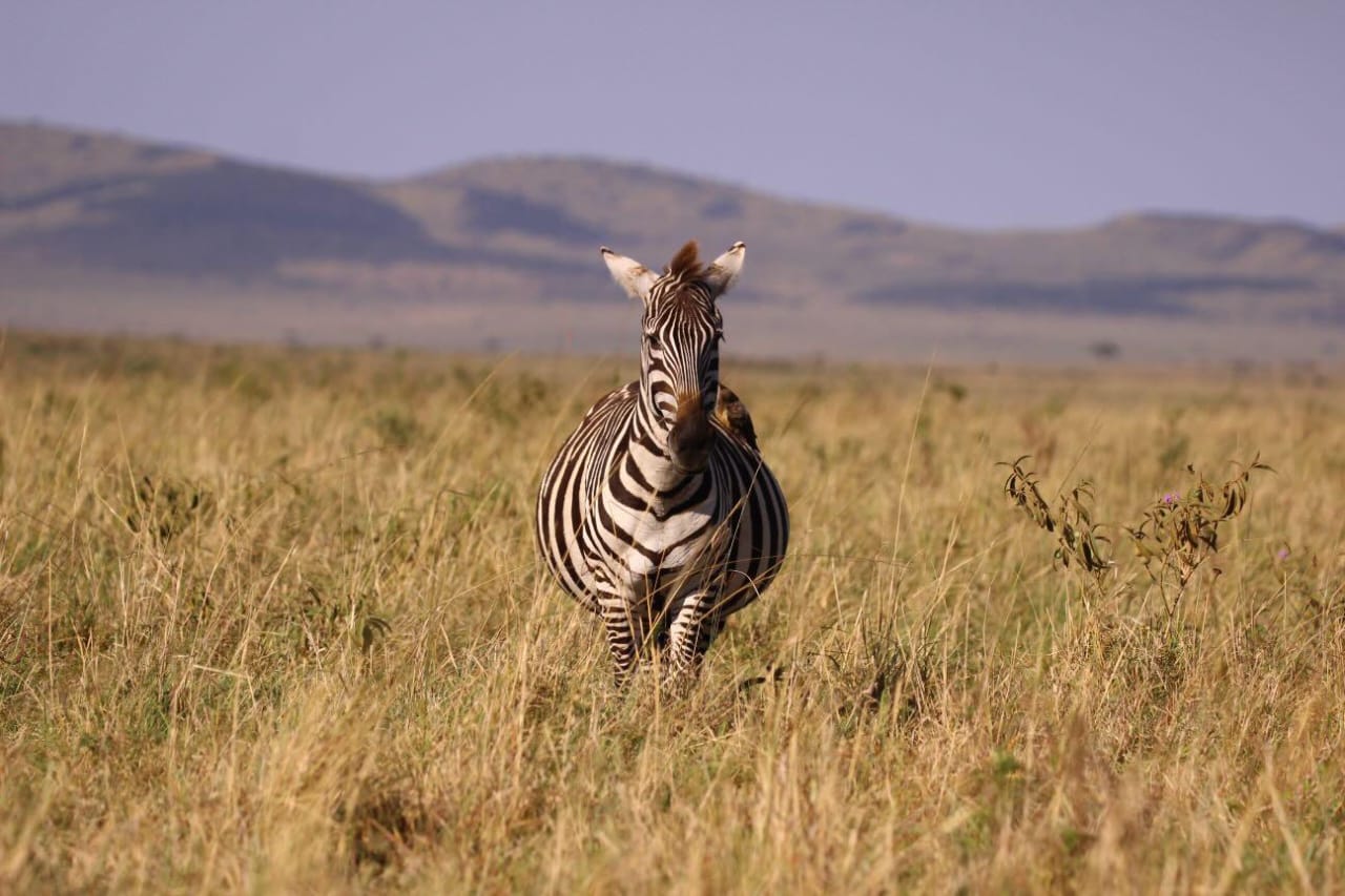 Ngorongoro Conservation Area