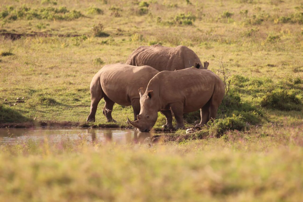 Serengeti National Park