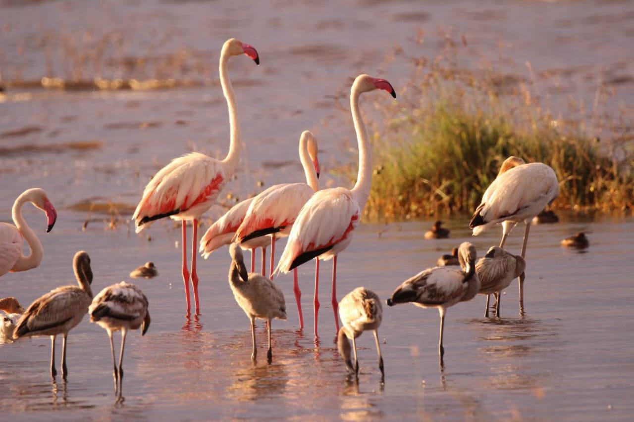 Lake Nakuru National Park