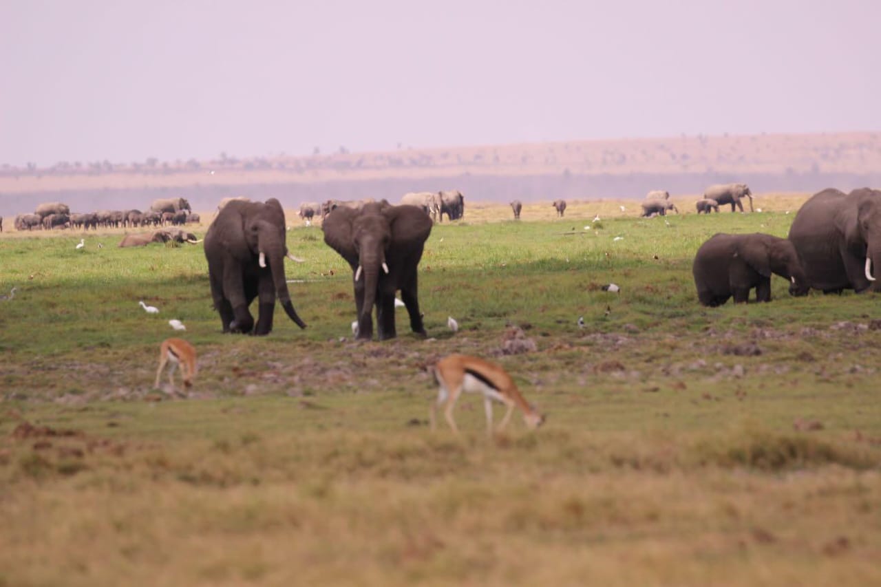 Lake Manyara National Park