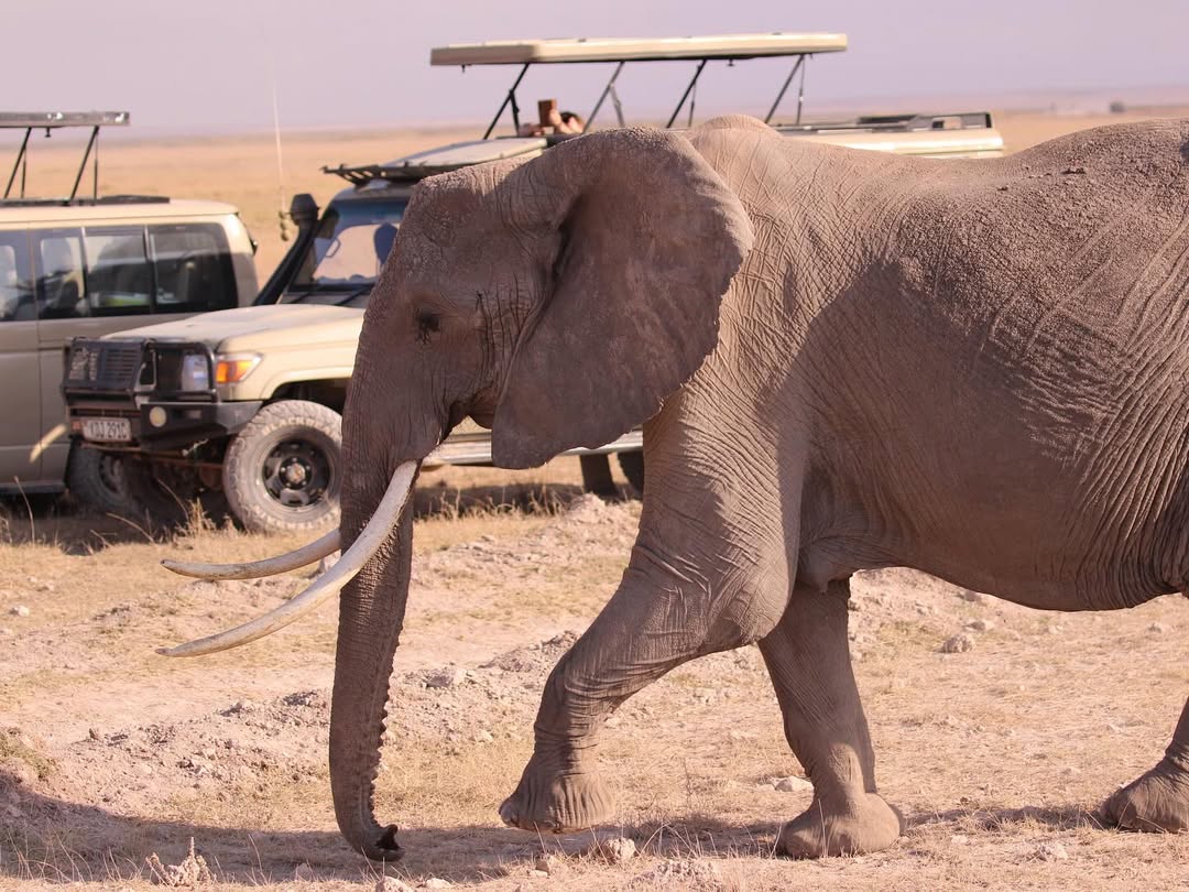 Tsavo East National Park