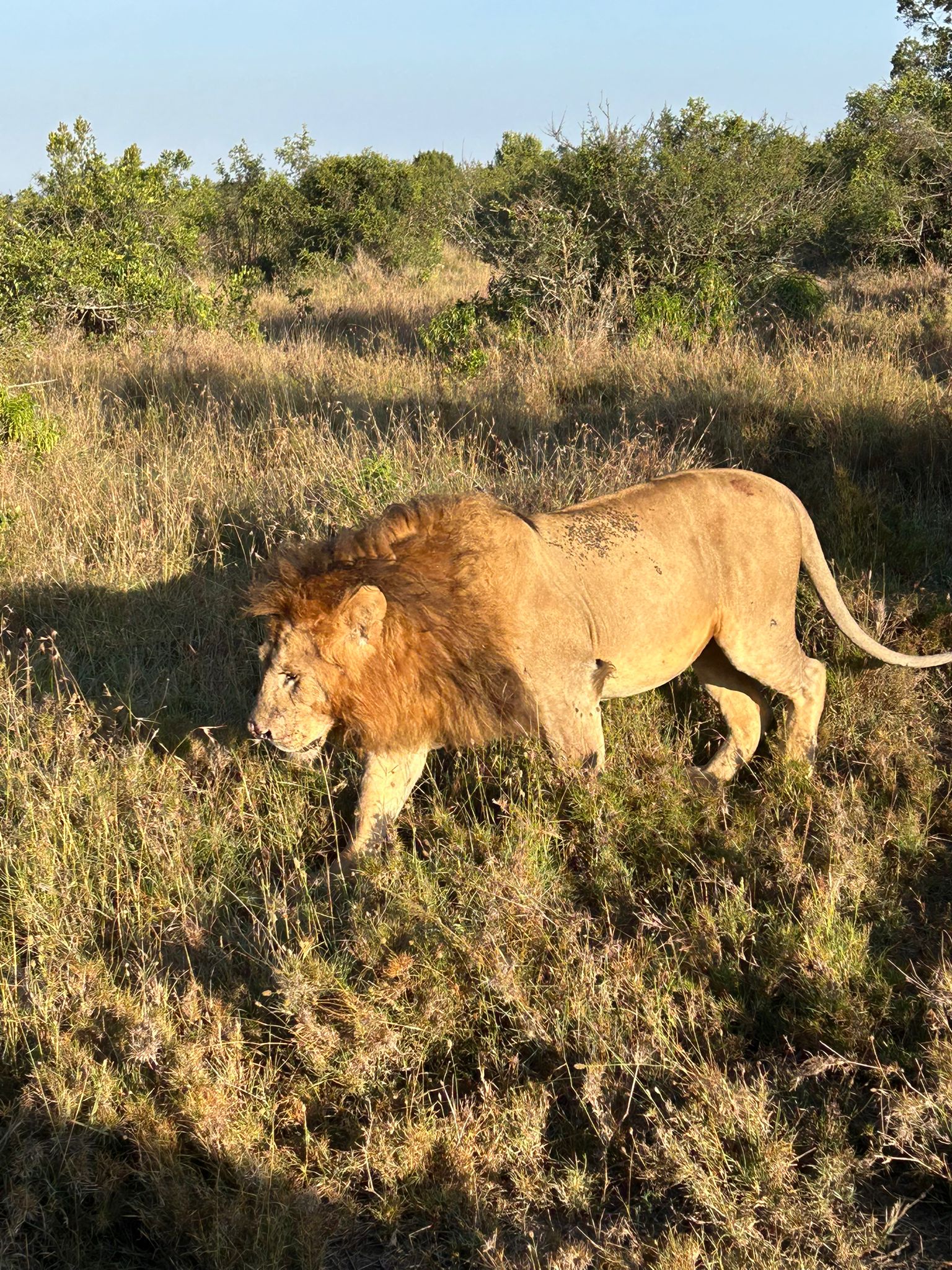 Masai Mara Game Reserve