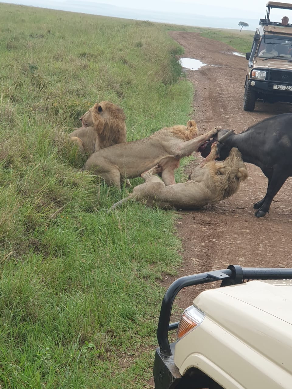 Aberdare National Park